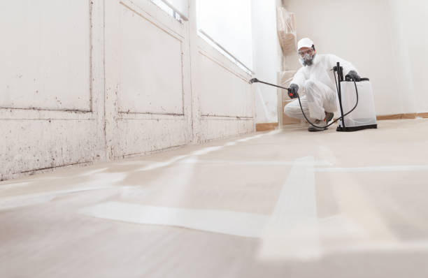 24/7 Emergency Mold Removal experts in Julian, PA